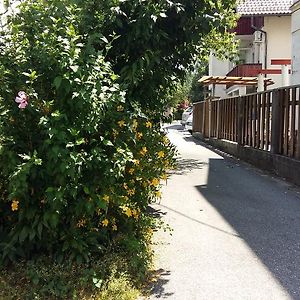 Sunflower Accommodation